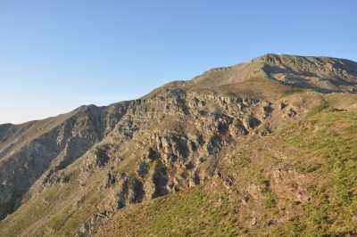 Uludaz Uğur Böcekleri